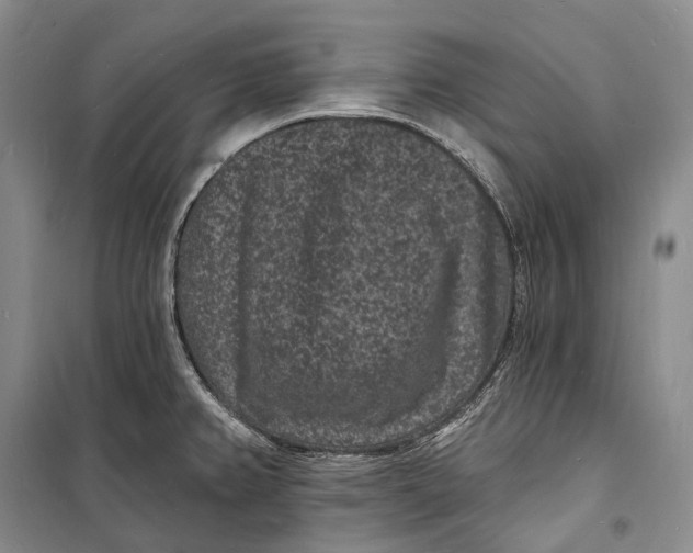 X0000098231382200805151330