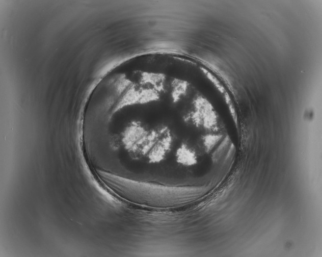 X0000098231383200805151330