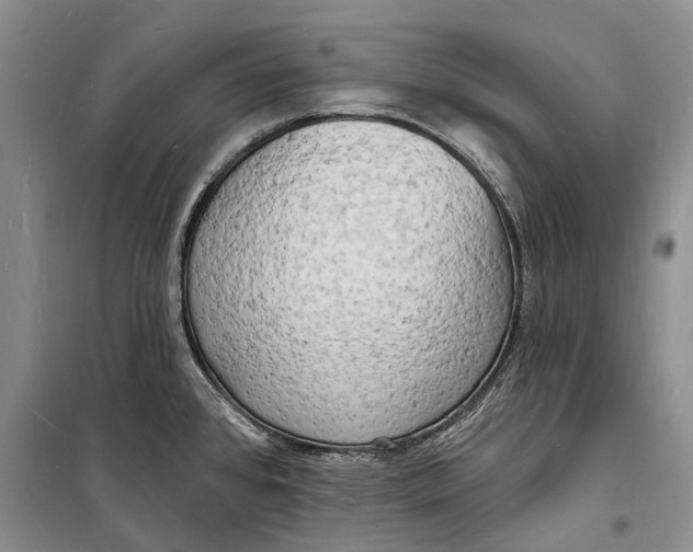 X0000098231384200805151330