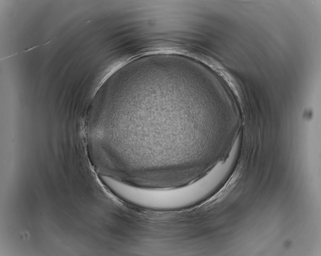 X0000098231385200805151330