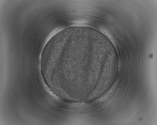 X0000098231386200805151330