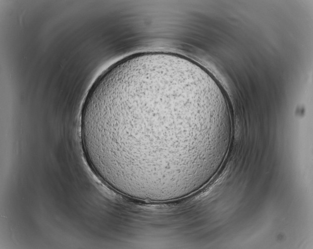 X0000098231388200805151330