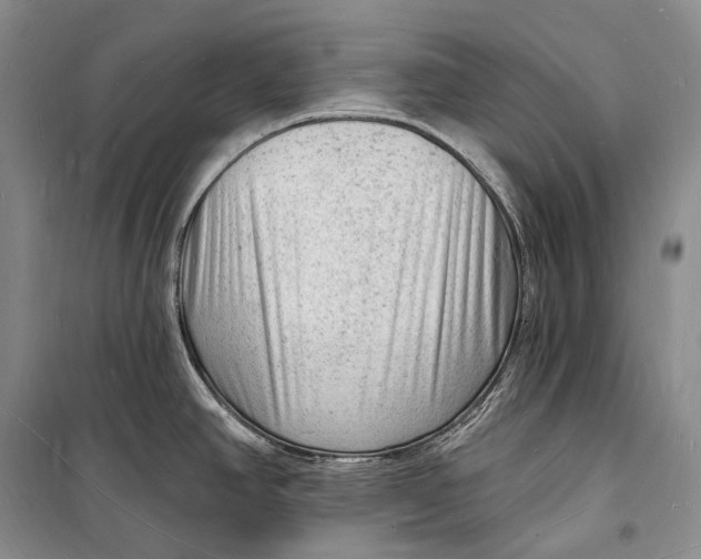 X0000098231390200805151330