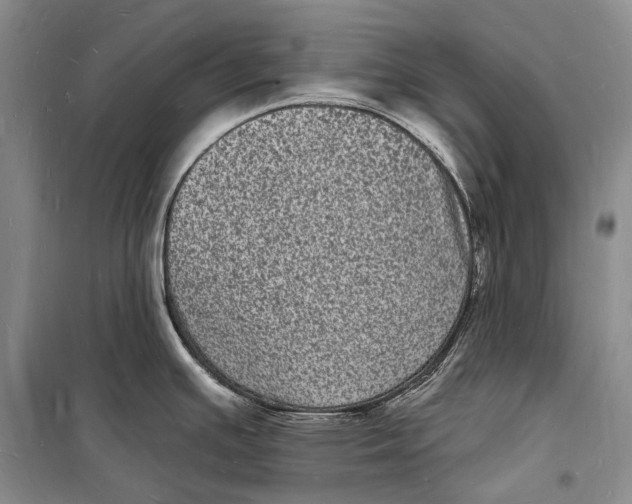 X0000098231391200805151330