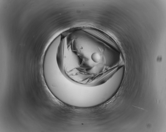 X0000098231392200805151330