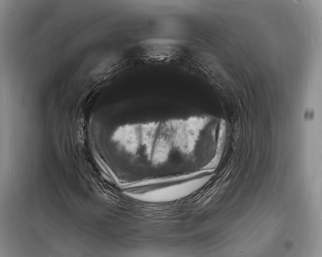 X0000098231394200805151329