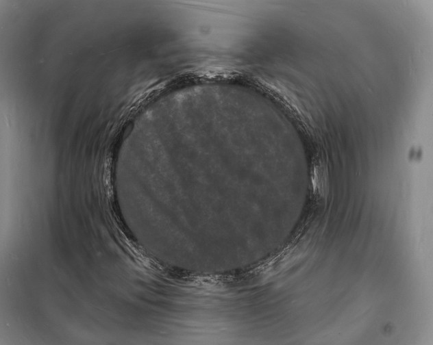 X0000098231396200805151329