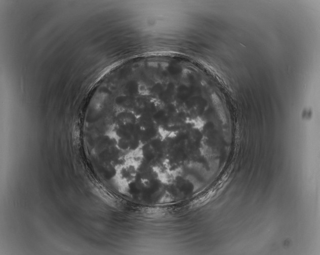 X0000098231401200805151329