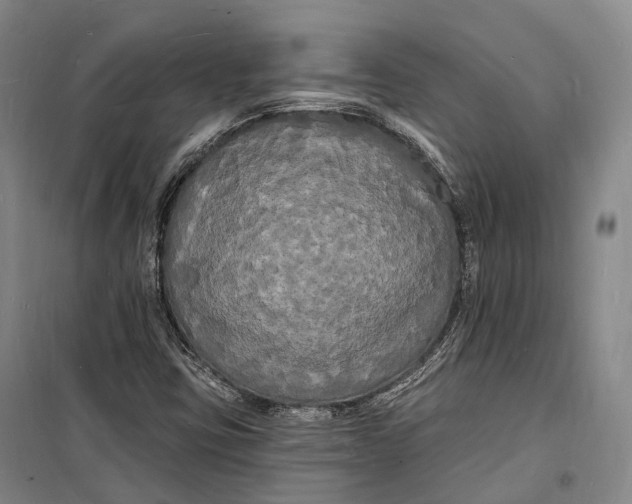 X0000098231403200805151329