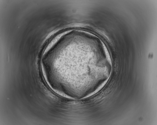 X0000098231404200805151329