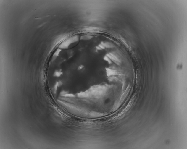 X0000098231405200805151329