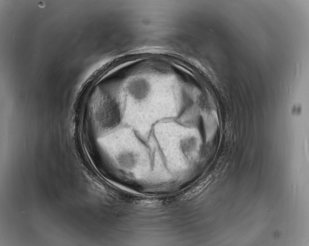 X0000098231406200805151329