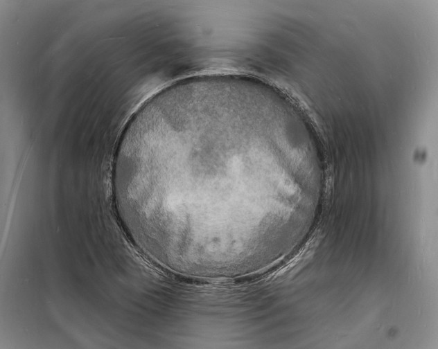 X0000098231409200805151329