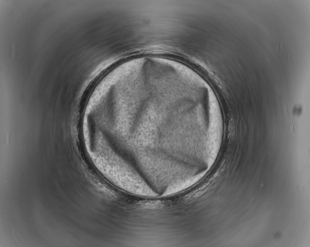 X0000098231410200805151330