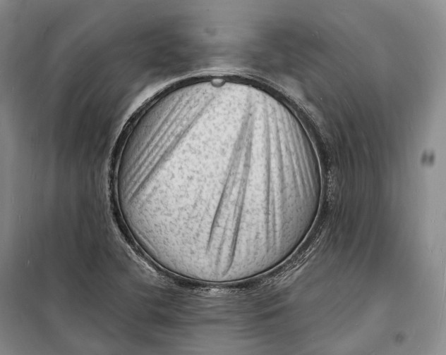 X0000098231412200805151330