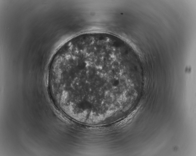 X0000098231413200805151330