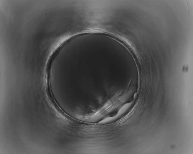 X0000098231414200805151330