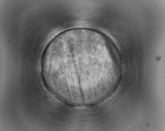 X0000098231415200805151330