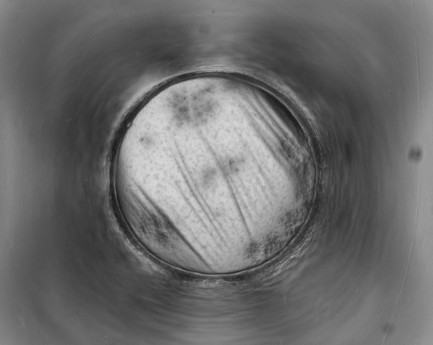 X0000098231416200805151330