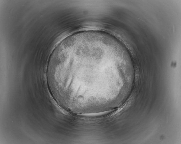 X0000098231417200805151330