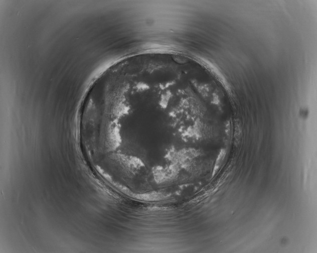 X0000098231419200805151330