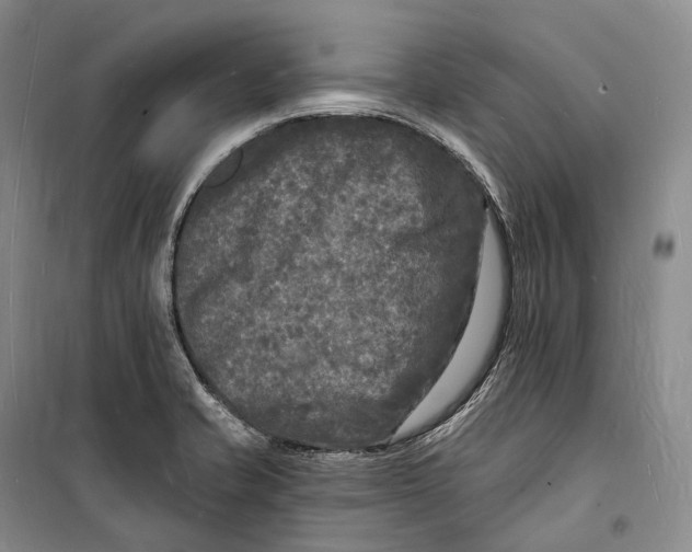 X0000098231421200805151330