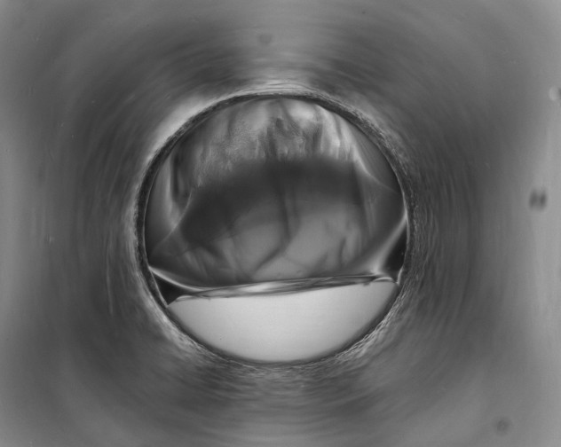 X0000098231422200805151330