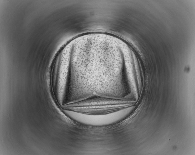 X0000098231424200805151330