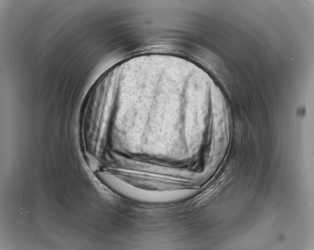 X0000098231426200805151330