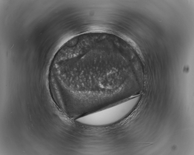 X0000098231427200805151330