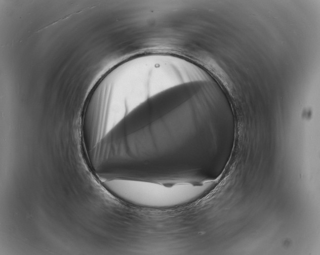 X0000098231428200805151330