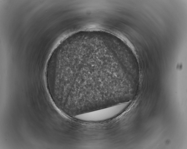 X0000098231429200805151330