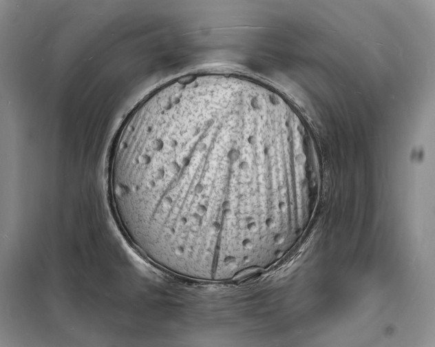 X0000098231430200805151330