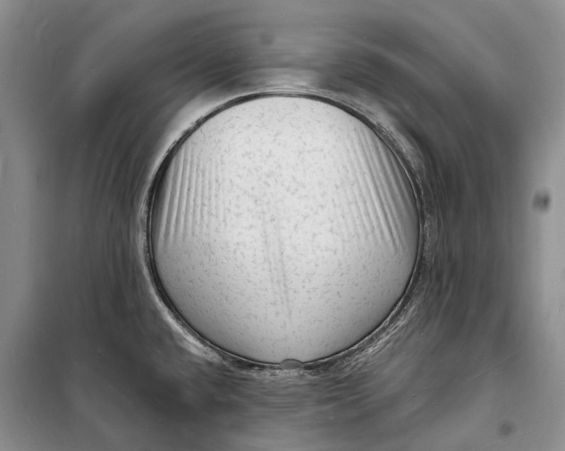 X0000098231432200805151330