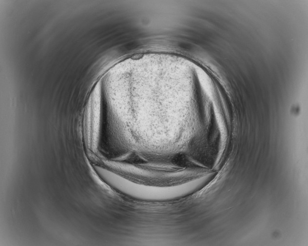 X0000098231433200805151330