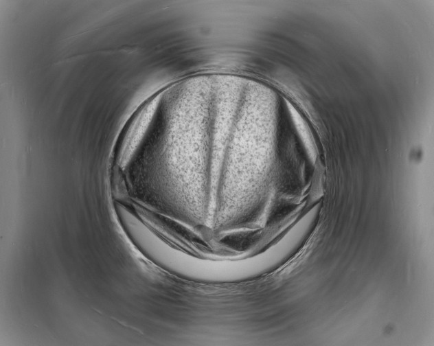 X0000098231434200805151330