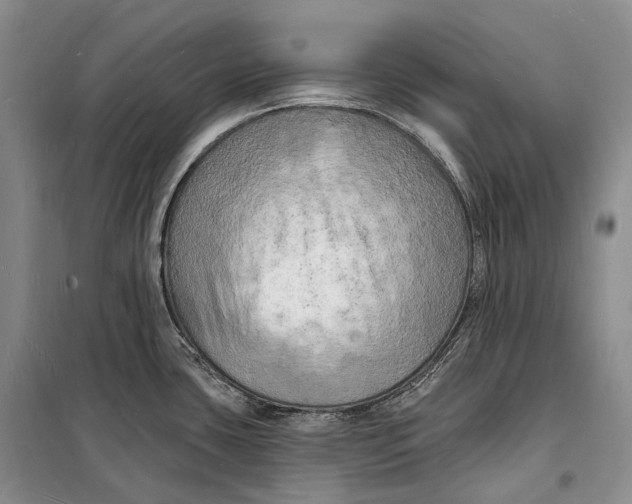 X0000098231435200805151330