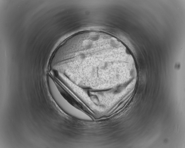 X0000098231436200805151330