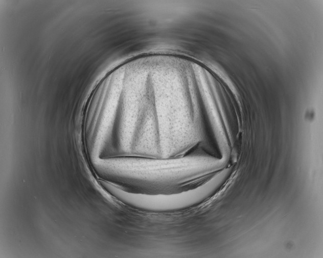 X0000098231437200805151330