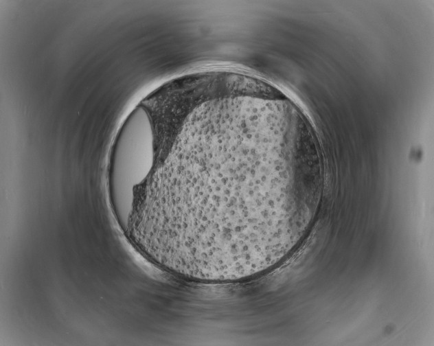 X0000098231438200805151330