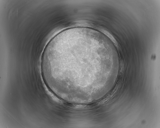 X0000098231439200805151330