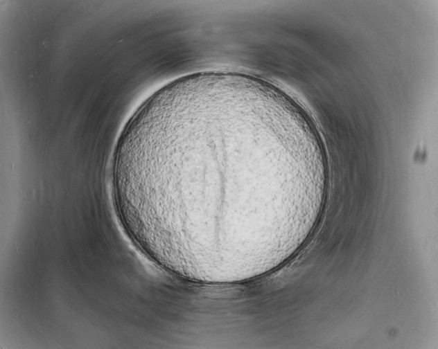 X0000098231440200805151330