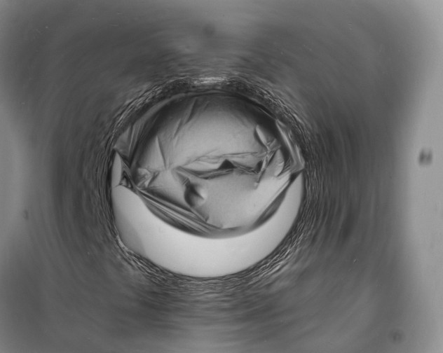 X0000098231441200805151329