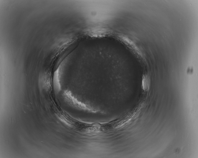 X0000098231444200805151329