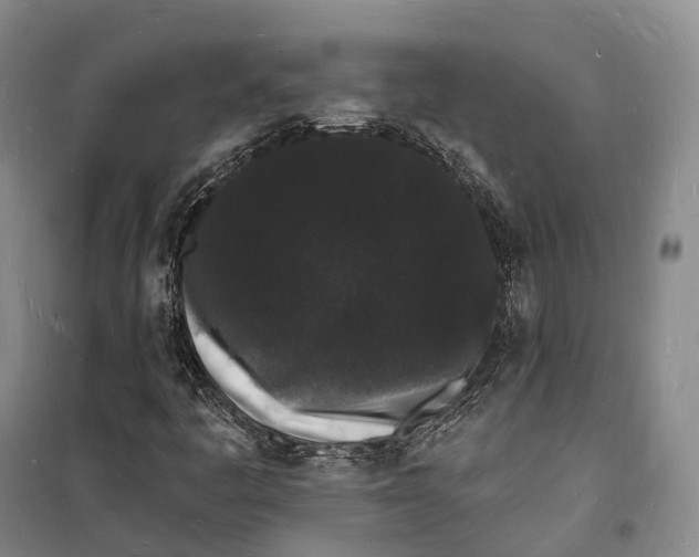 X0000098231445200805151329