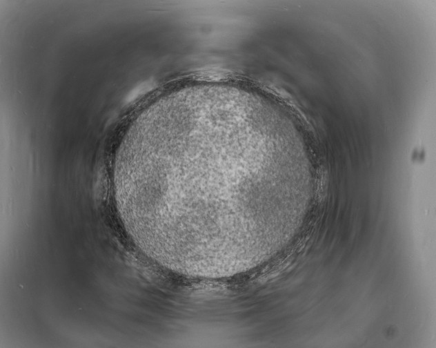 X0000098231446200805151329