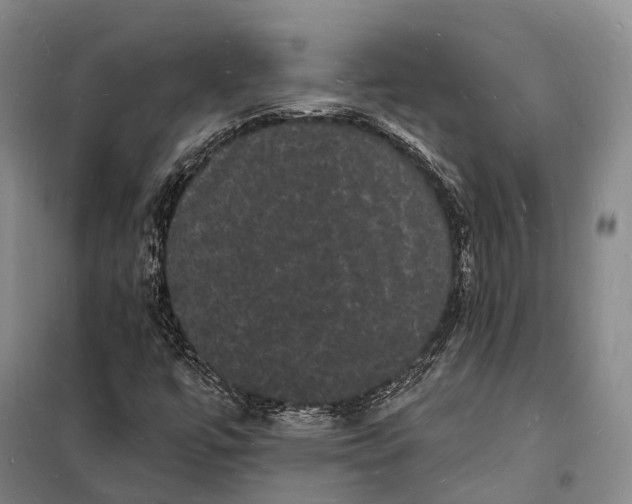 X0000098231447200805151329