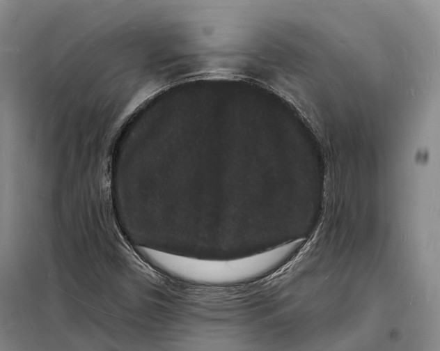 X0000098231450200805151329