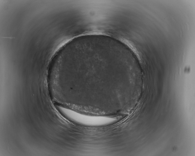 X0000098231452200805151329