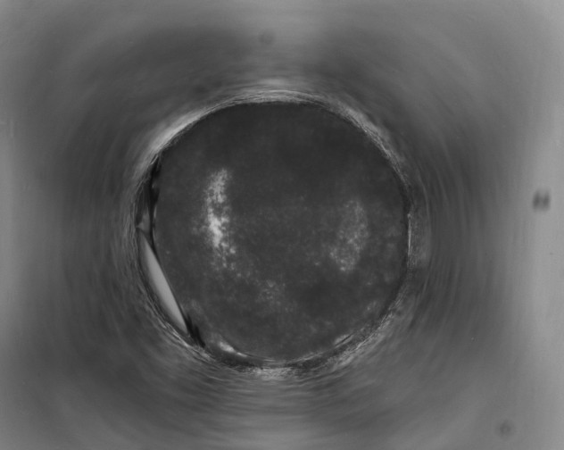 X0000098231453200805151329